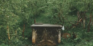 Greenfield Cemetery Hempstead: Discover Secrets Behind Its History