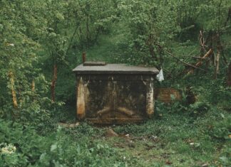 Greenfield Cemetery Hempstead: Discover Secrets Behind Its History