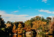 Hempstead Lake State Park Eagle Avenue West Hempstead NY Secrets Revealed