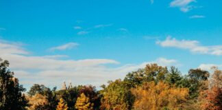 Hempstead Lake State Park Eagle Avenue West Hempstead NY Secrets Revealed