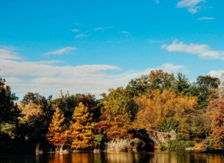 Hempstead Lake State Park Eagle Avenue West Hempstead NY Secrets Revealed