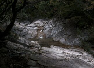 Hempstead In Which County? Discover The Surprising Location Today