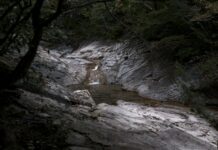 Hempstead Ave: Discover Hidden Gems and Must-Visit Spots Nearby