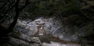 Hempstead Ave: Discover Hidden Gems and Must-Visit Spots Nearby