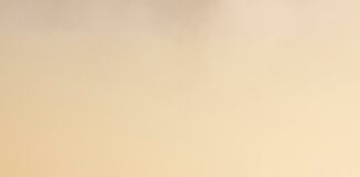 Urban Air Hempstead: Why Families Are Raving About This Adventure Spot