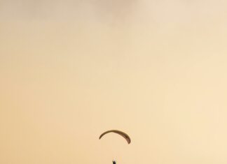 Urban Air Hempstead: Why Families Are Raving About This Adventure Spot