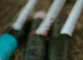 Hempstead Golf & Country Club: Discover Exclusive Luxury & Fun