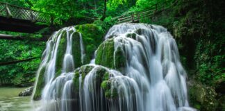 Nassau County Hempstead Secrets: Discover Hidden Local Gems Today