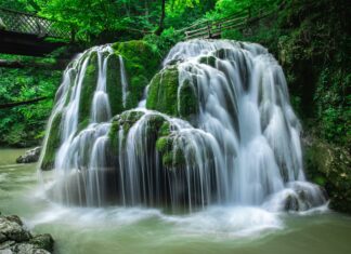 Nassau County Hempstead Secrets: Discover Hidden Local Gems Today