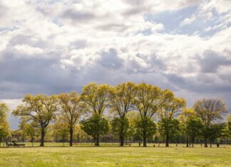 Hempstead NY Weather: What Surprising Changes Should You Expect?