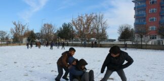 Town Of Hempstead Rath Park: Discover Hidden Gems & Fun Activities