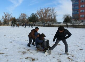 Town Of Hempstead Rath Park: Discover Hidden Gems & Fun Activities