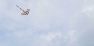 Eisenhower Park Hempstead Turnpike East Meadow NY: Hidden Gems Revealed