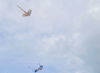 Eisenhower Park Hempstead Turnpike East Meadow NY: Hidden Gems Revealed