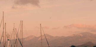 Town Of Hempstead Free Concerts: Unmissable Summer Music Events