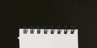 Jackson Annex School Hempstead New York: Secrets To Excellence Revealed