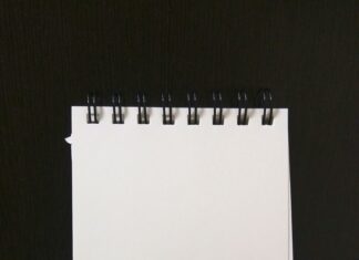 Jackson Annex School Hempstead New York: Secrets To Excellence Revealed