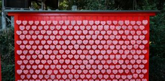 Sacred Heart Academy Hempstead: Discover Excellence and Tradition