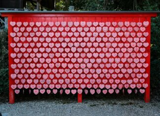 Sacred Heart Academy Hempstead: Discover Excellence and Tradition