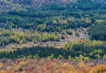 Walmart Hempstead Turnpike East Meadow NY: Discover Top Deals Today