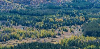 Walmart Hempstead Turnpike East Meadow NY: Discover Top Deals Today