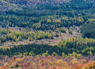 Walmart Hempstead Turnpike East Meadow NY: Discover Top Deals Today