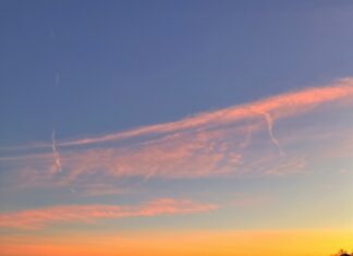 Hempstead Long Island: Discover Hidden Gems and Local Secrets