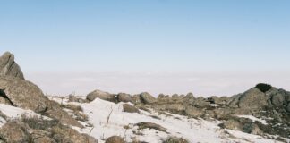 Honda Hempstead Turnpike: Discover Top Deals and Expert Tips Today