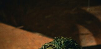 Target Hempstead Turnpike Elmont: Discover Hidden Local Gems Today