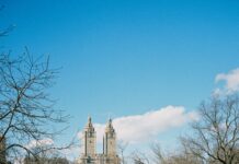 Belmont Park Hempstead Turnpike Elmont NY: Secrets You Must Know