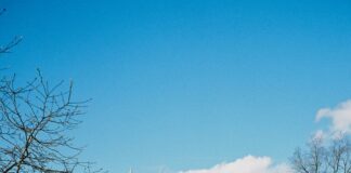 Belmont Park Hempstead Turnpike Elmont NY: Secrets You Must Know