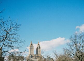 Belmont Park Hempstead Turnpike Elmont NY: Secrets You Must Know