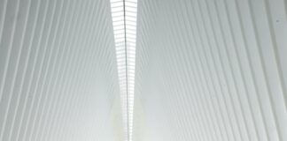 Hempstead NY Zip: Discover Hidden Gems and Essential Insights