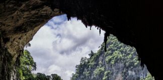 Eisenhower Park Hempstead Turnpike: Discover Hidden Gems Today