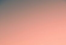 2150 Hempstead Turnpike Elmont New York 11003: What Makes It Unique?