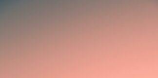 2150 Hempstead Turnpike Elmont New York 11003: What Makes It Unique?