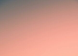 2150 Hempstead Turnpike Elmont New York 11003: What Makes It Unique?