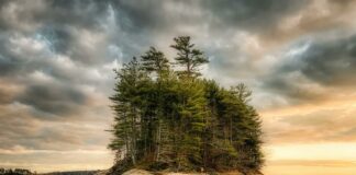 Evergreen Charter School 605 Peninsula Hempstead NY: Why Choose It?