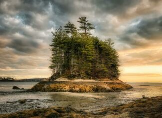 Evergreen Charter School 605 Peninsula Hempstead NY: Why Choose It?