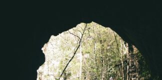 Walgreens Hempstead Tpke Bethpage: Discover Hidden Deals Today!