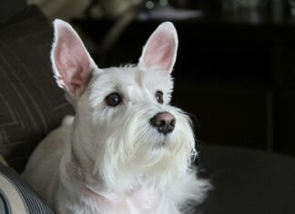 Hempstead TX 77445 Secrets: Why Locals Love Living Here